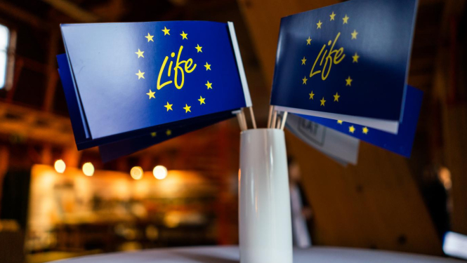 life programma