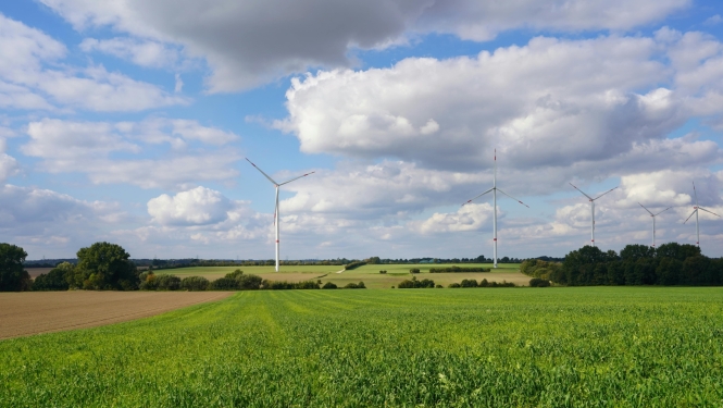 Zaļa pļava ar tālumā redzamiem krūmiem, lauku un vēja turbīnām