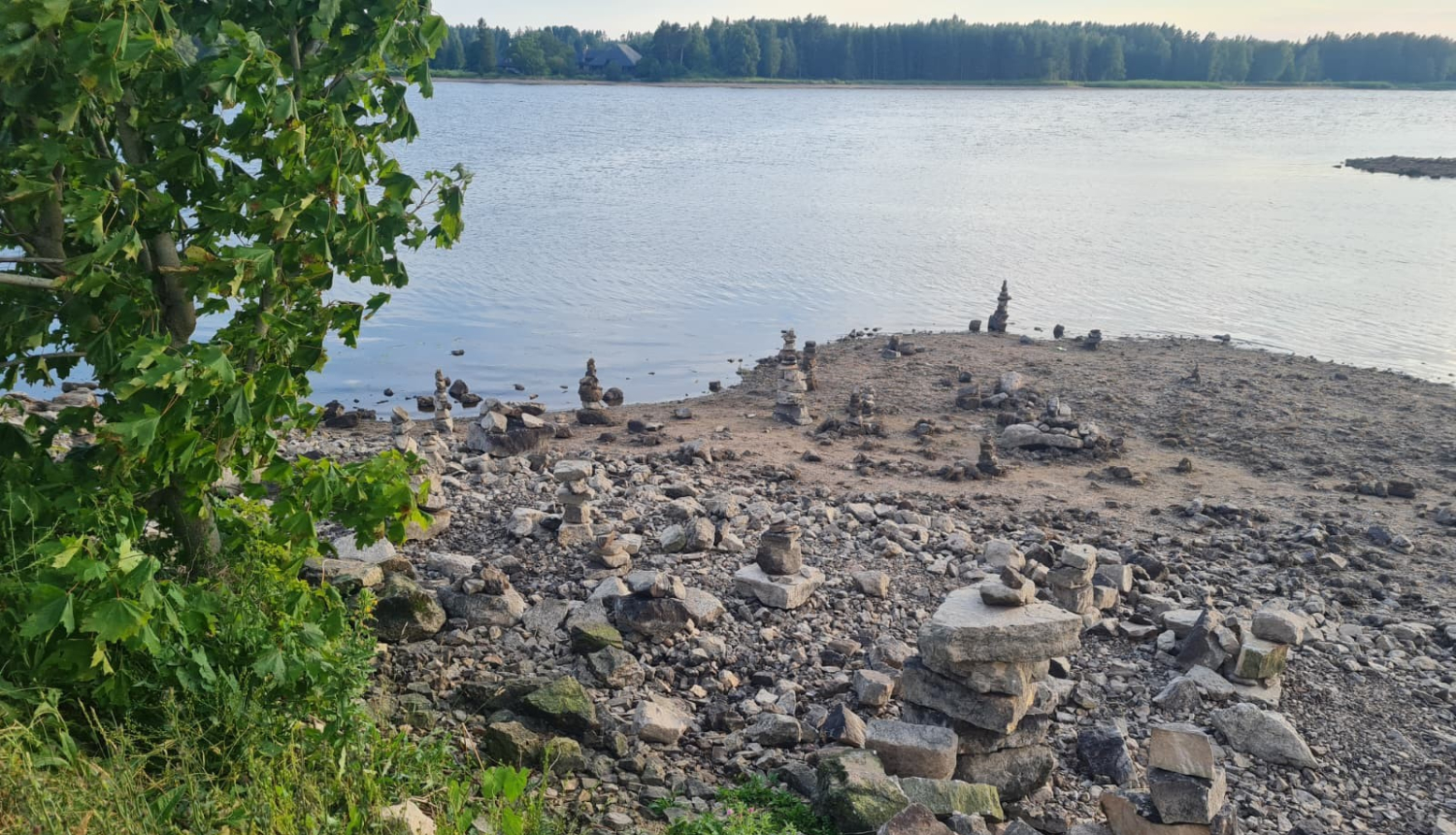 Daugava