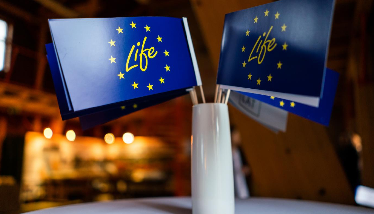 life programma