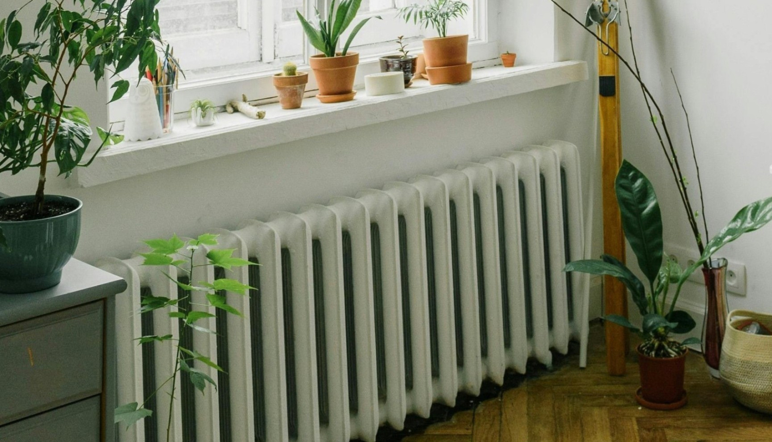 Radiators pie loga
