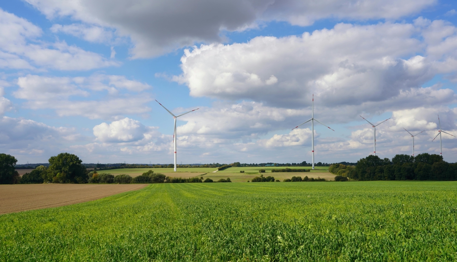 Zaļa pļava ar tālumā redzamiem krūmiem, lauku un vēja turbīnām