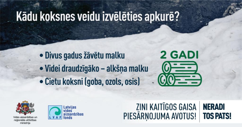 infografika 