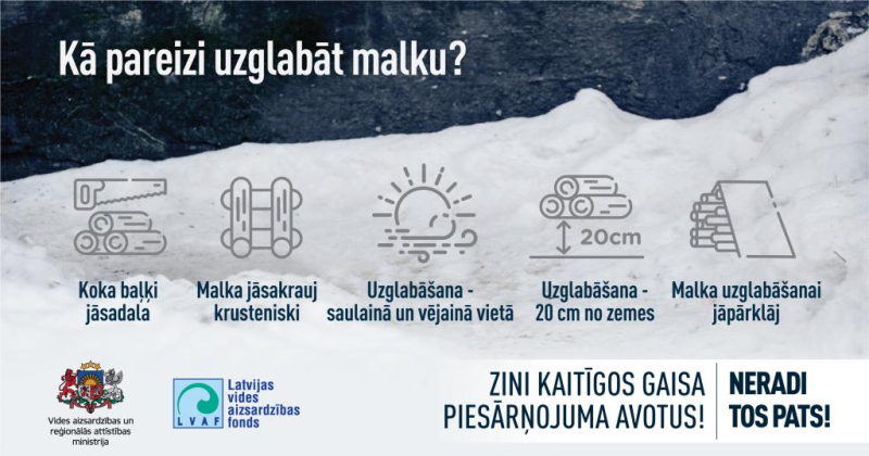 infografika malka