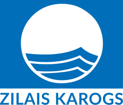 Zilais karogs
