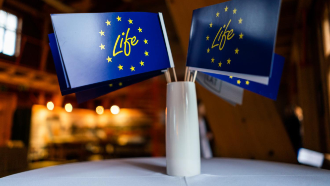 life programma