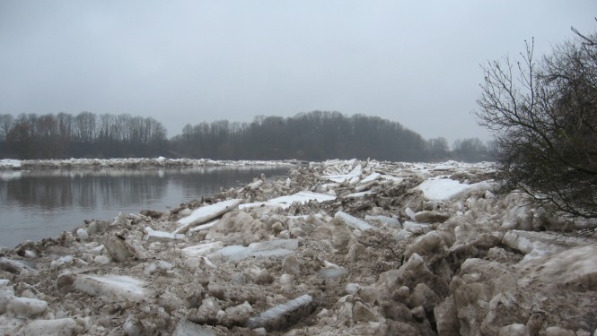 Pavasara pali Mežotnē 2007. gadā