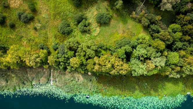 Ainava ar ezera krastu