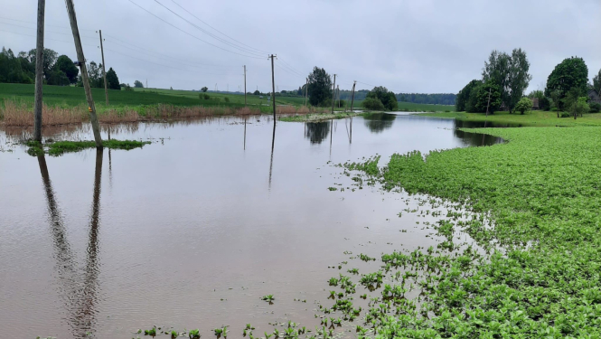 lauks pēc stiprām lietavām