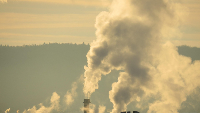 Skats uz rūpnīcu un skusteņiem