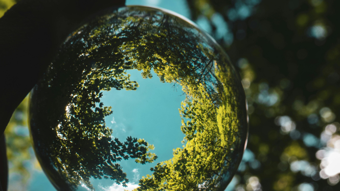 stikla lode, kurā atspīd mežs