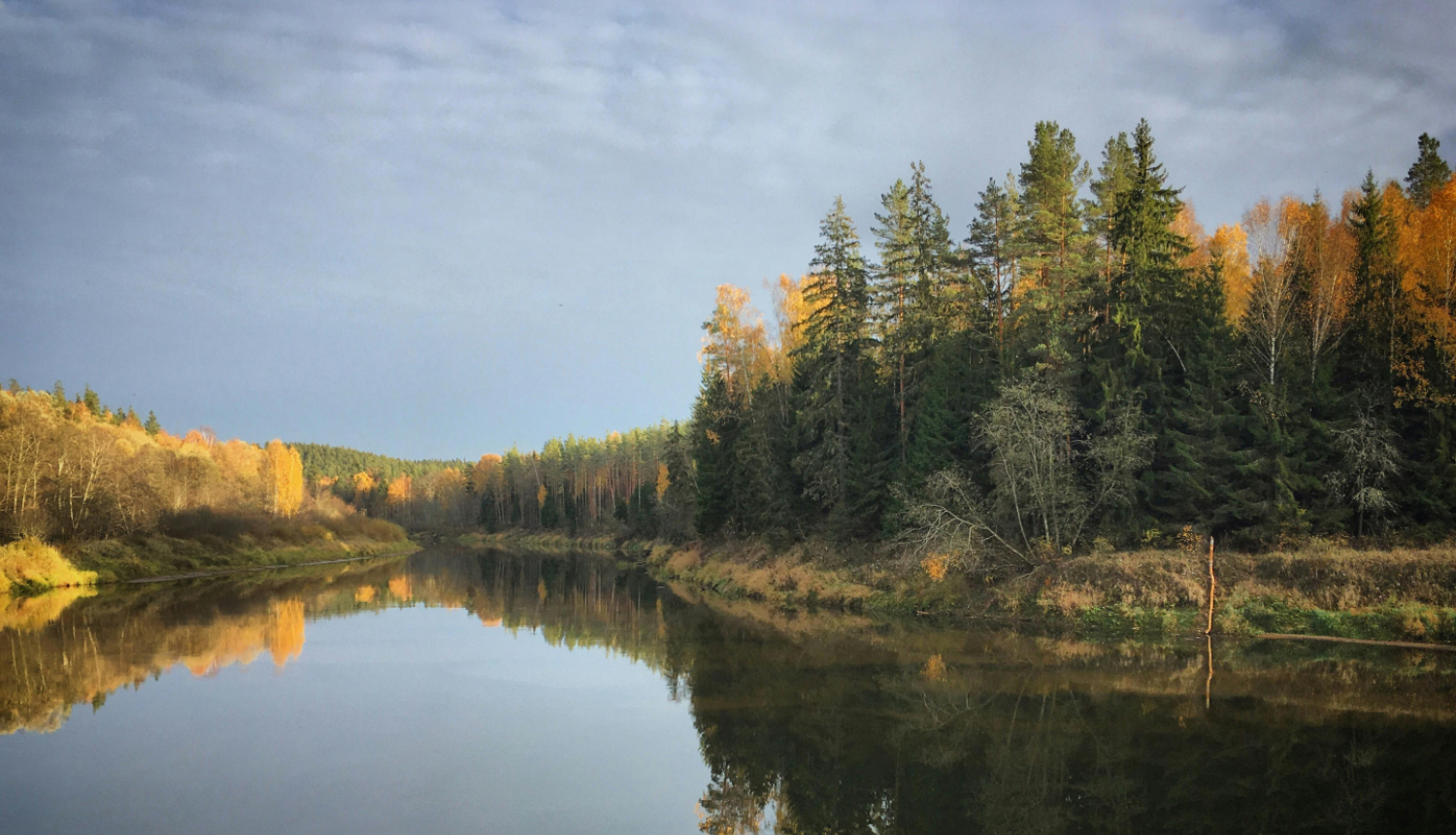 Upe ar mežu tās krastos rudenī