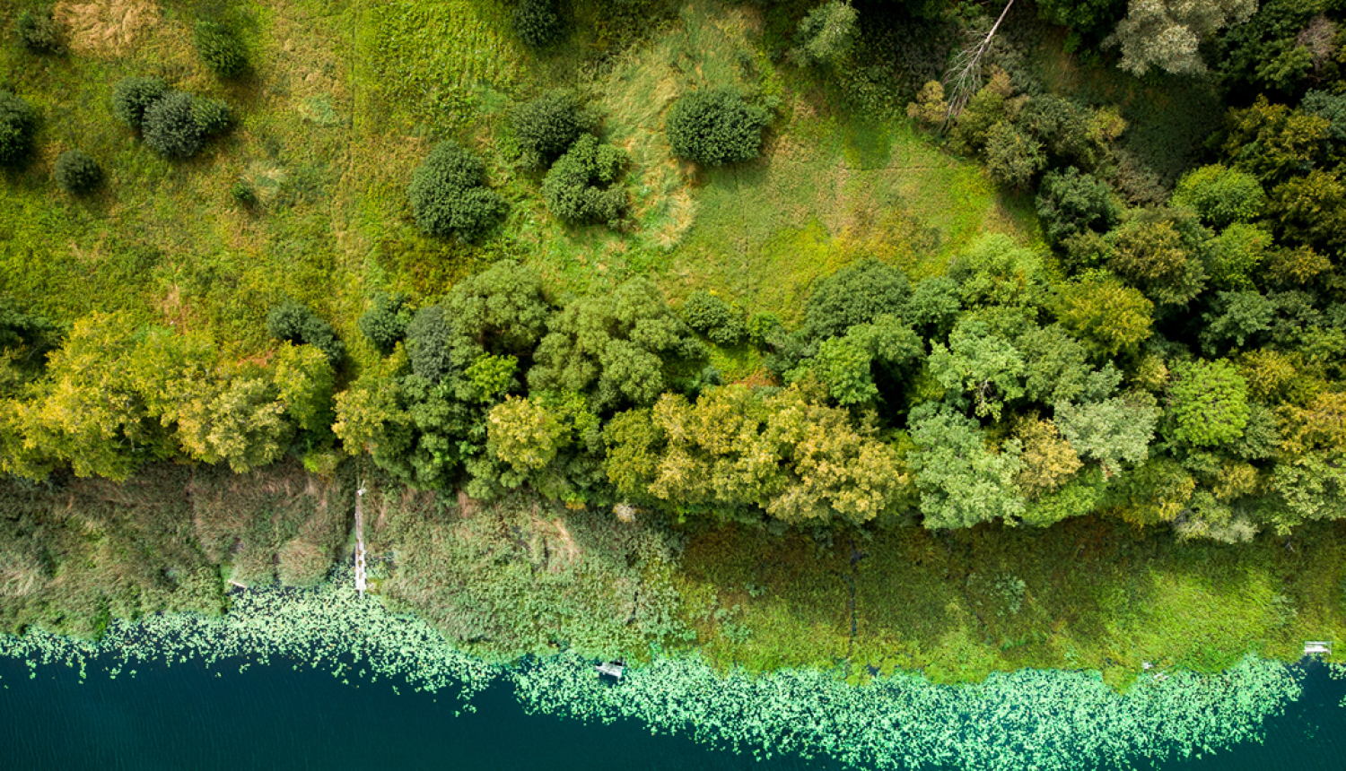 Ainava ar ezera krastu