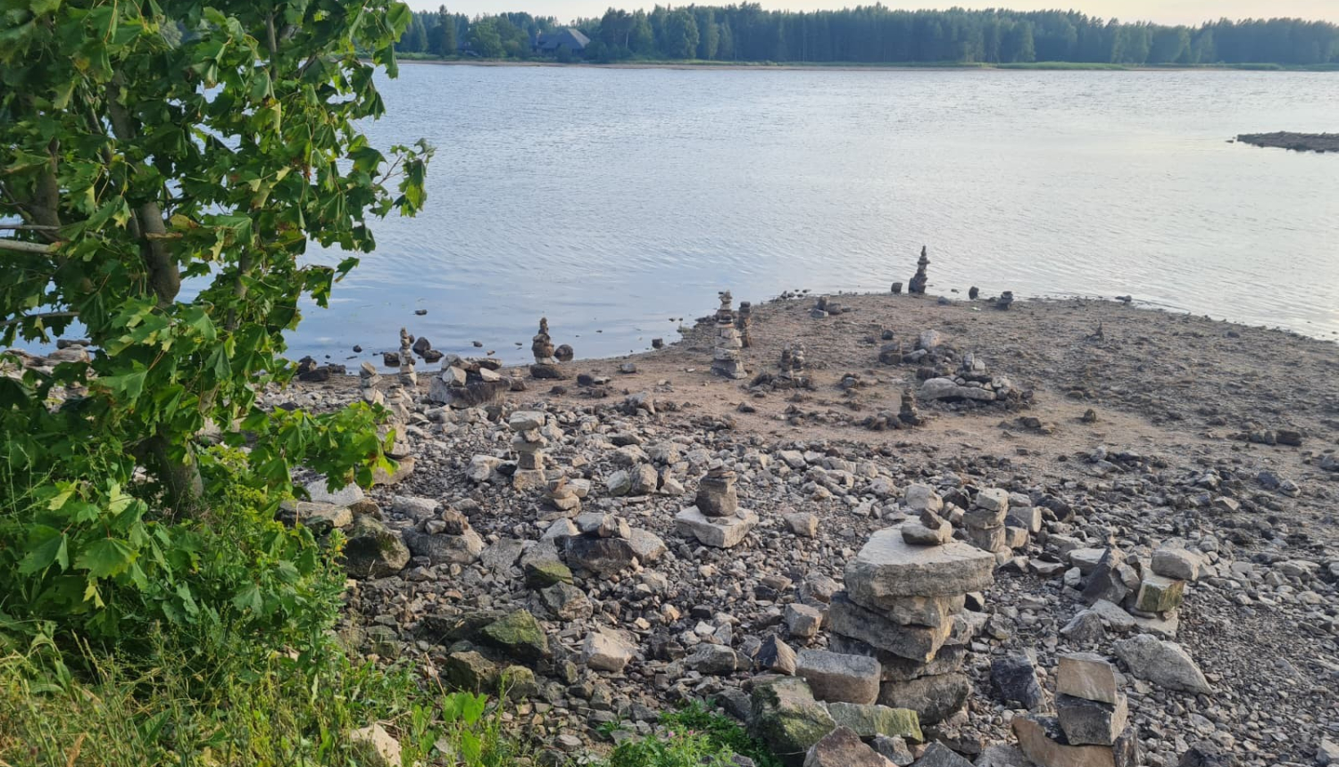 Daugava