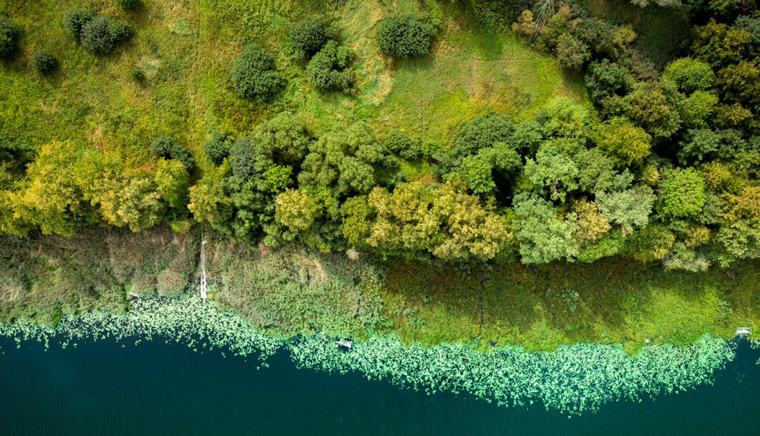 Ainava ar ezera krastu